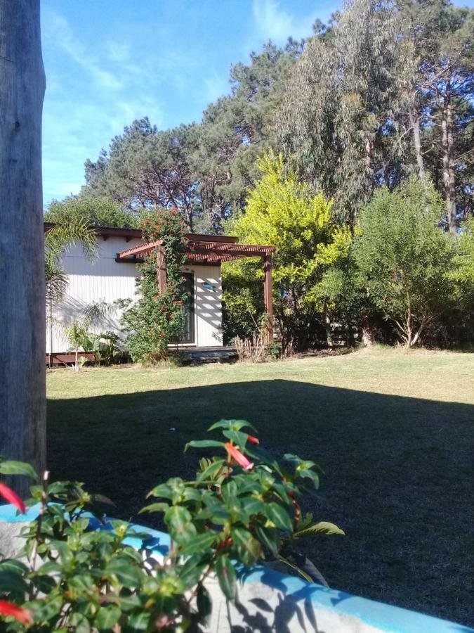 La Maison Suites & Gastronomia La Paloma Exteriör bild